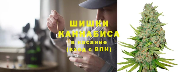 спайс Ельня
