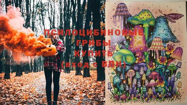экстази Дмитровск