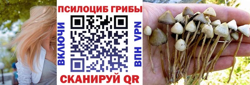 Купить где  Сураж  Галлюциногенные грибы MAGIC MUSHROOMS 
