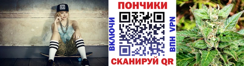 Купить закладки  Сураж  Бошки марихуана THC 21% 